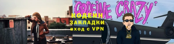 ГАЛЛЮЦИНОГЕННЫЕ ГРИБЫ Гусь-Хрустальный