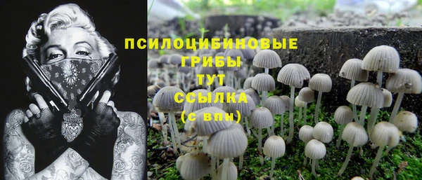 меф Алзамай