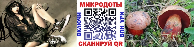 Галлюциногенные грибы Psilocybine cubensis кракен вход Палласовка